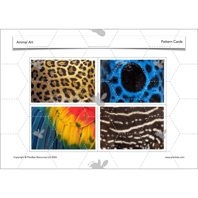 PlanBee Animal Art KS1 | Art Lesson Pack