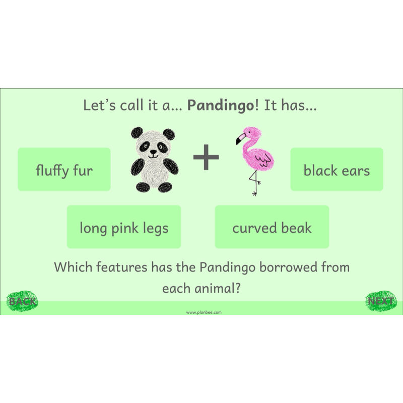 PlanBee Animal Poetry KS1 English Lesson Pack