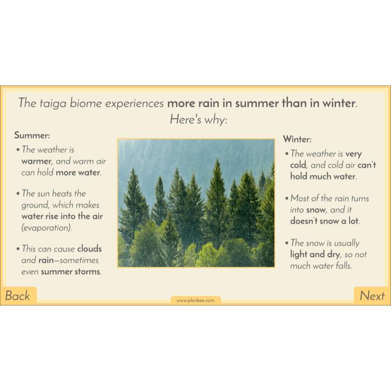 PlanBee Biomes KS2 Geography Lessons