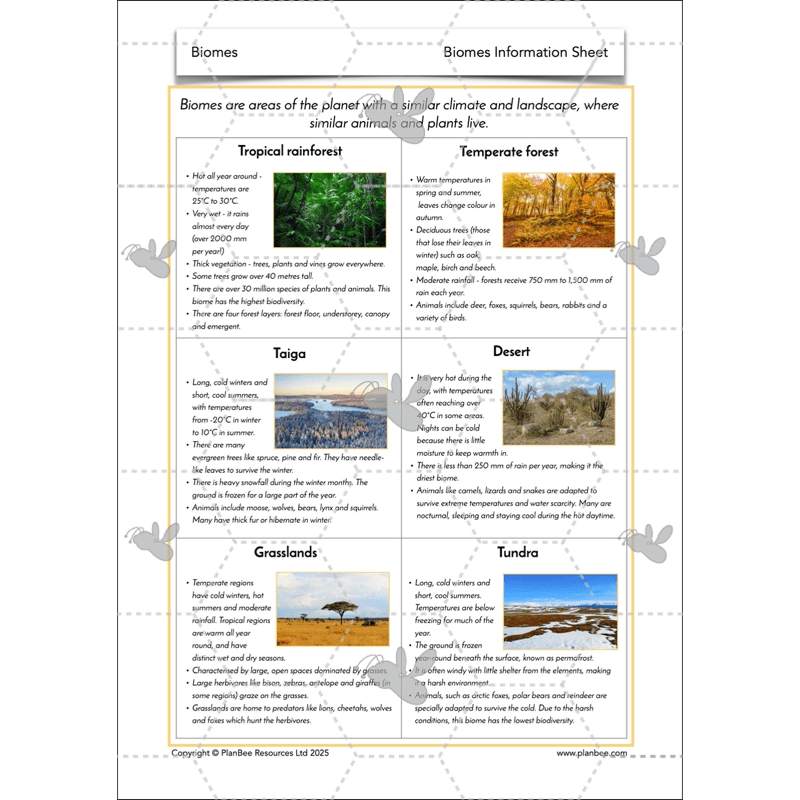 PlanBee Biomes KS2 Geography Lessons