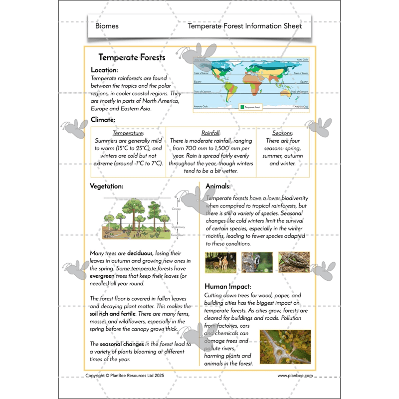 PlanBee Biomes KS2 Geography Lessons
