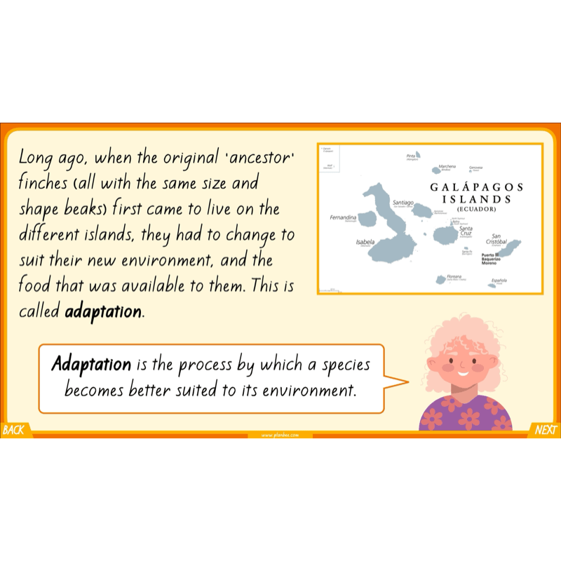 PlanBee Charles Darwin KS2 Lesson Pack