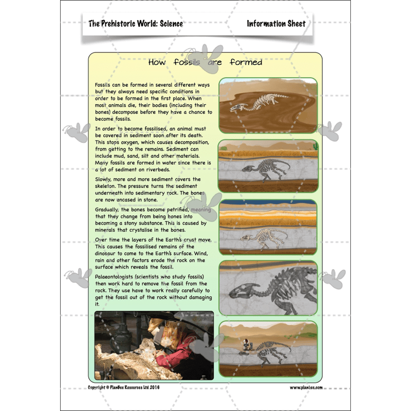 PlanBee Dinosaurs Topic KS2 Enrichment Lesson Pack