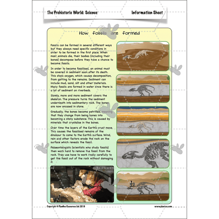 PlanBee Dinosaurs Topic KS2 Enrichment Lesson Pack