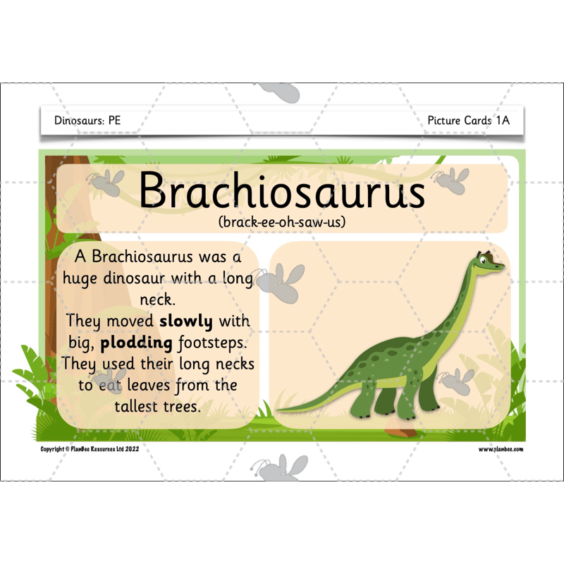 Dinosaurs KS1 Topic Enrichment Pack