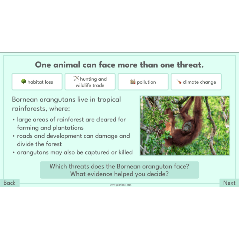 Endangered Animals