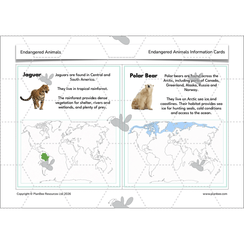Endangered Animals