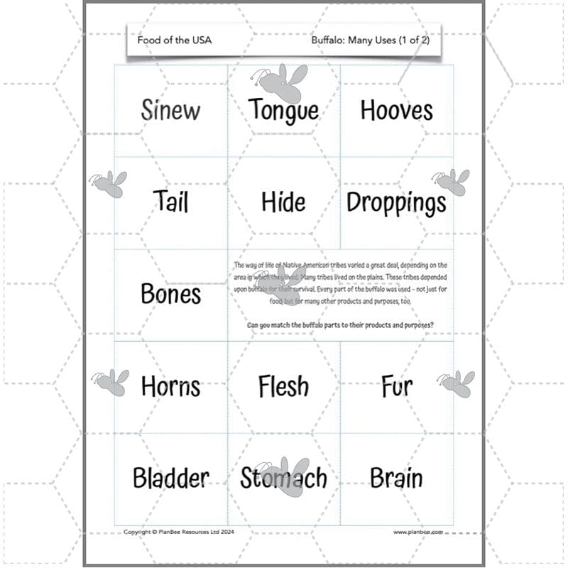 PlanBee Food of the USA KS2 DT Cookery Lessons by PlanBee