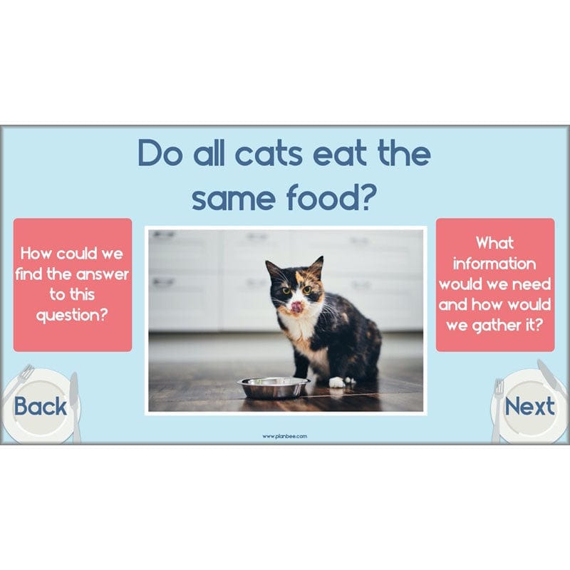 PlanBee Animals Including Humans Year 3 Science Lessons by PlanBee