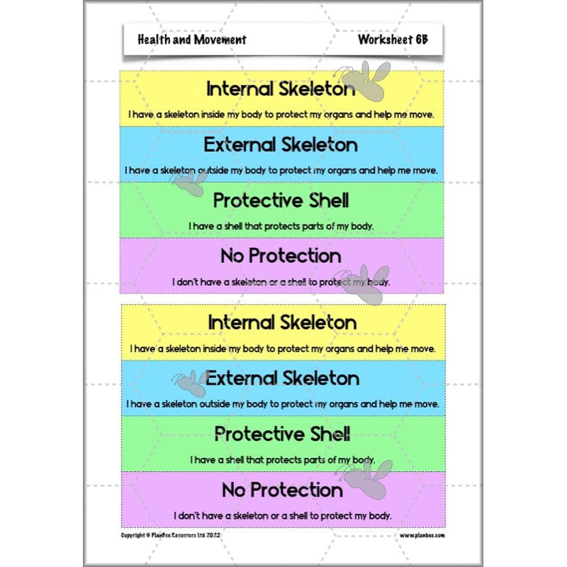 PlanBee Animals Including Humans Year 3 Science Lessons by PlanBee