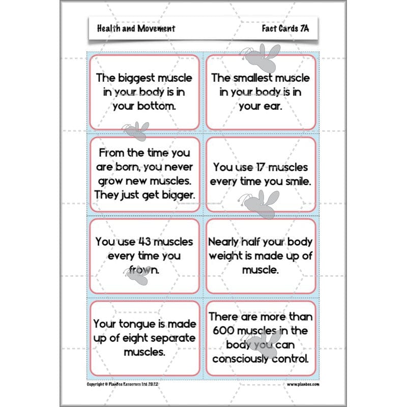 PlanBee Animals Including Humans Year 3 Science Lessons by PlanBee