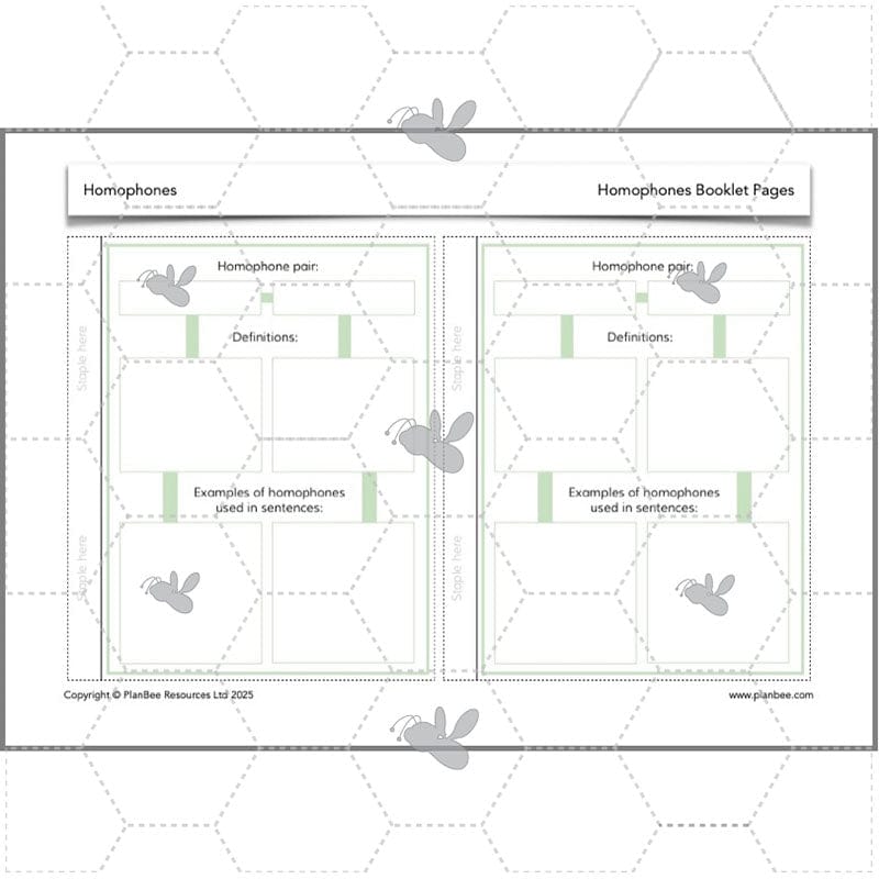 PlanBee Homophones KS2 | Year 3 English Lesson Pack