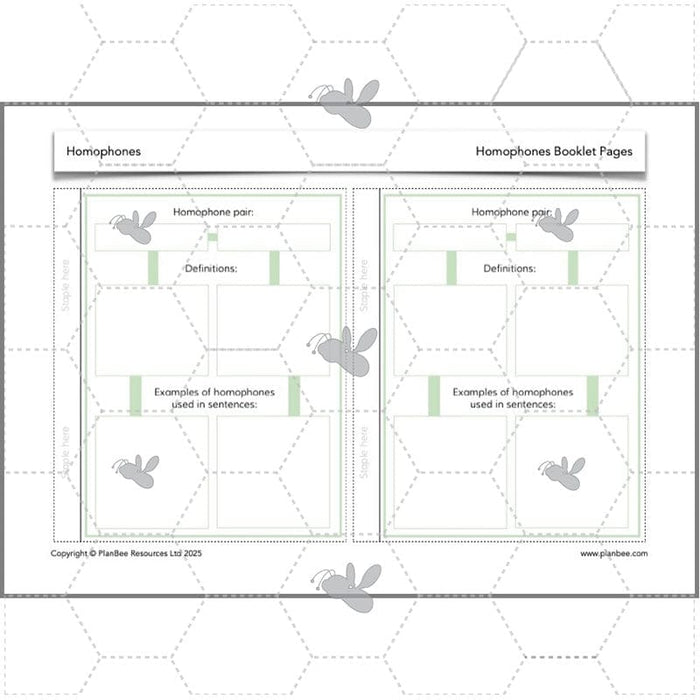 PlanBee Homophones KS2 | Year 3 English Lesson Pack