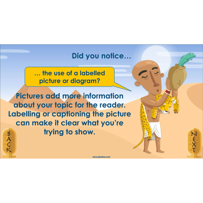 PlanBee Explanation Texts: How to Mummify a Tomato | KS2 English