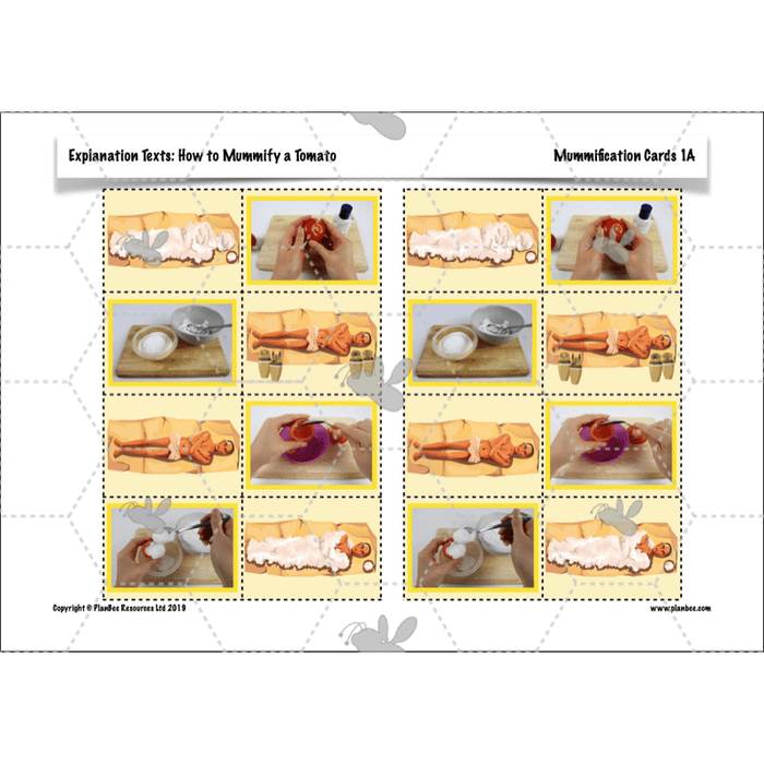PlanBee Explanation Texts: How to Mummify a Tomato | KS2 English