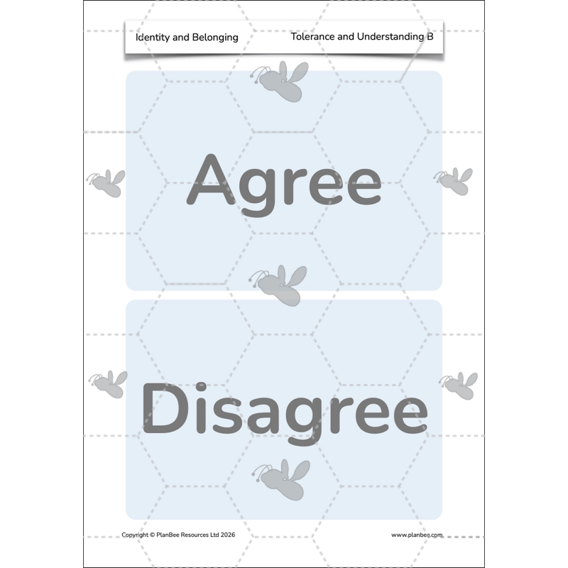 PlanBee Identity and Belonging Year 4 KS2 RE Lesson Pack by PlanBee