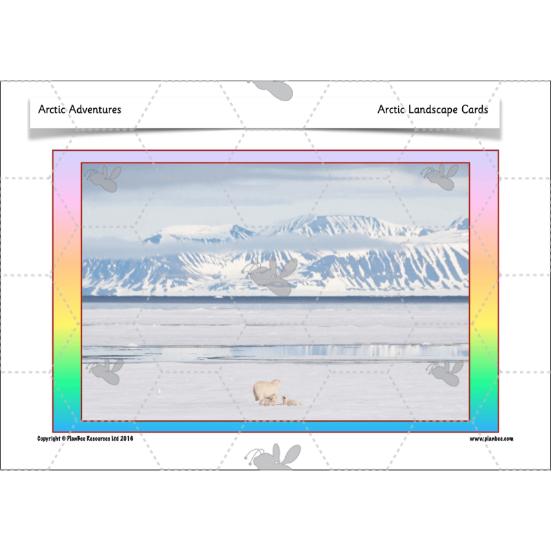 PlanBee In the Arctic Topic KS1 Enrichment Lesson Pack