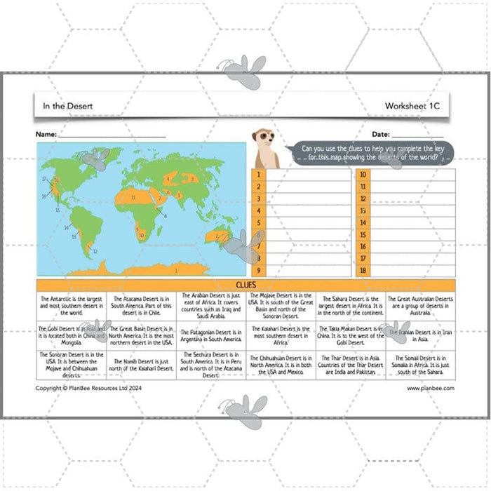 PlanBee In the Desert: Desert Habitat KS2 Geography by PlanBee