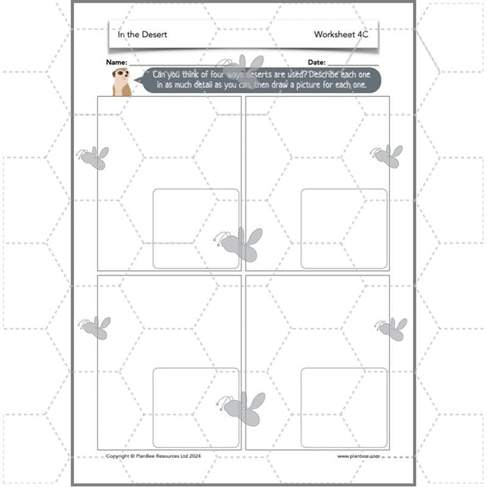 PlanBee In the Desert: Desert Habitat KS2 Geography by PlanBee