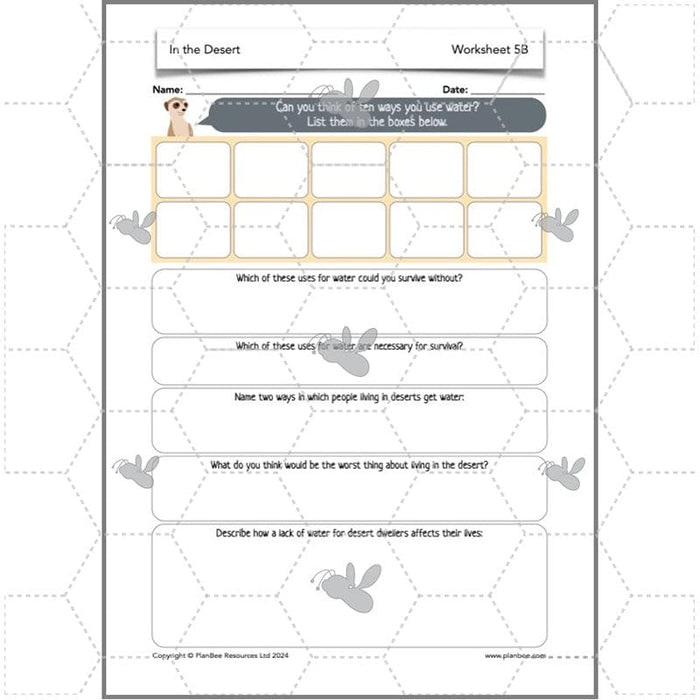 PlanBee In the Desert: Desert Habitat KS2 Geography by PlanBee