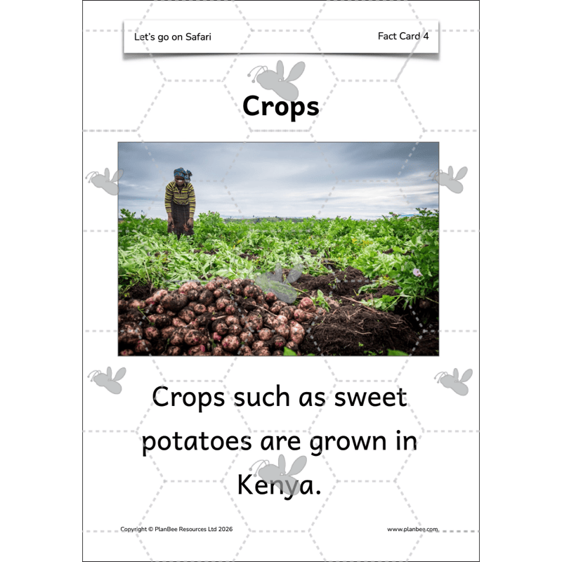 PlanBee Let's go on Safari | Kenya KS1 Geography Lesson Pack