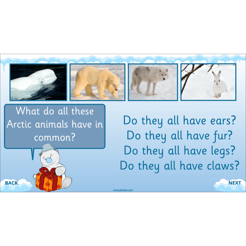 PlanBee Let's go to the Arctic KS1 Geography Lessons and Resources