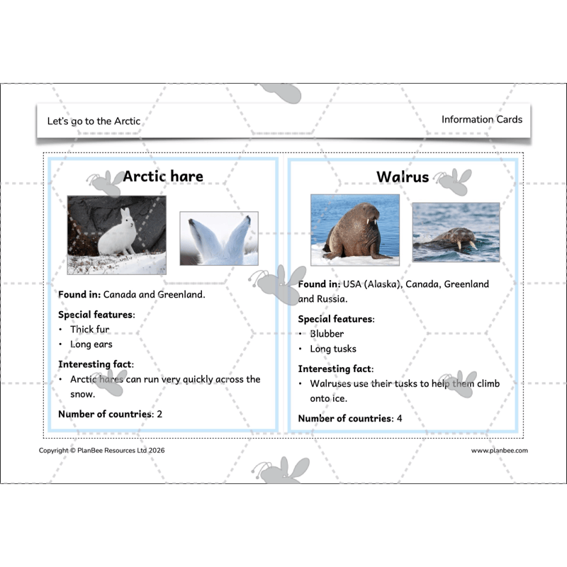 PlanBee Let's go to the Arctic KS1 Geography Lesson Pack