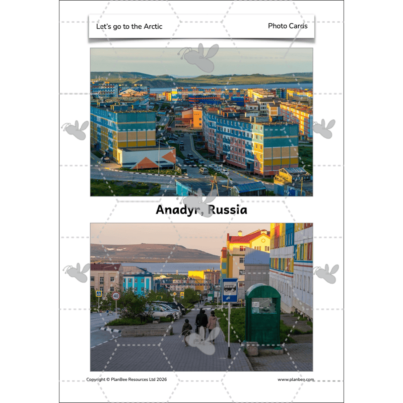 PlanBee Let's go to the Arctic KS1 Geography Lesson Pack