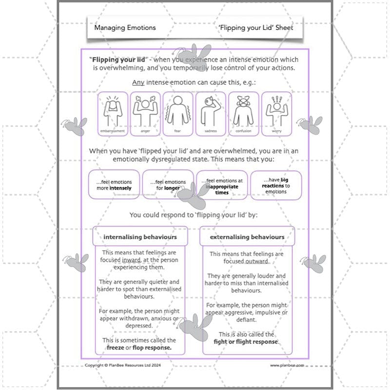 PlanBee Managing Emotions KS2 PSHE lessons | PlanBee