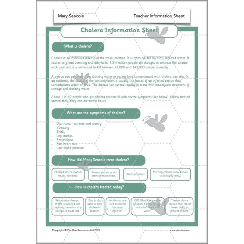 PlanBee Mary Seacole History KS1 lessons by Planbee