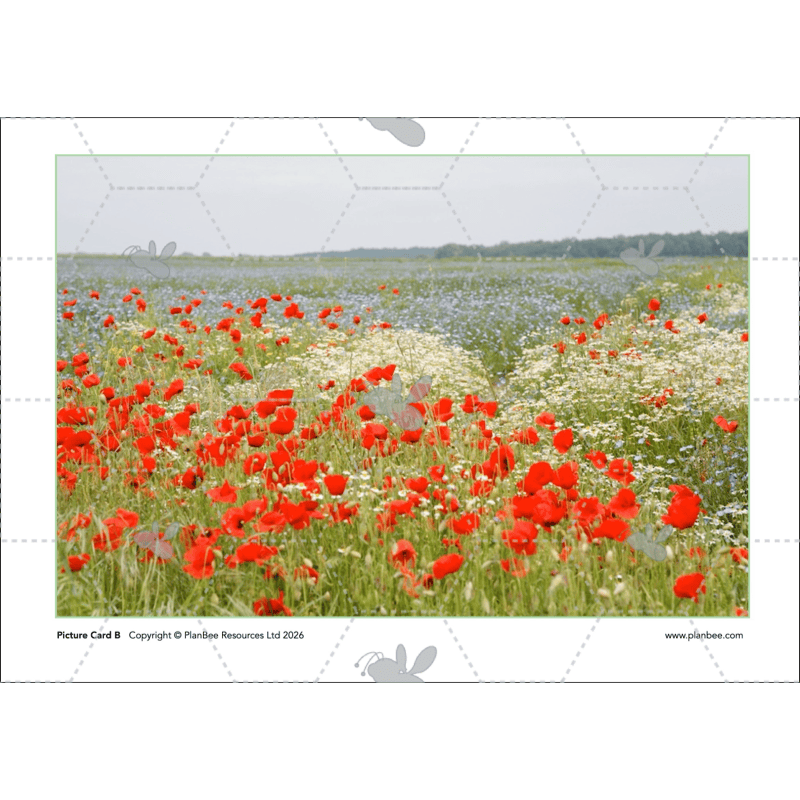 PlanBee Monet and the Impressionists | KS2 Art Lessons