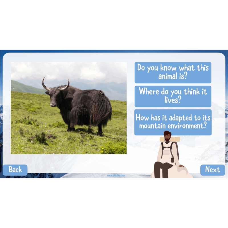 PlanBee Mountain Science KS2 | Food Chains, Adaptation & Life Cycles