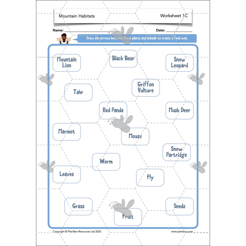 PlanBee Mountain Science KS2 | Food Chains, Adaptation & Life Cycles