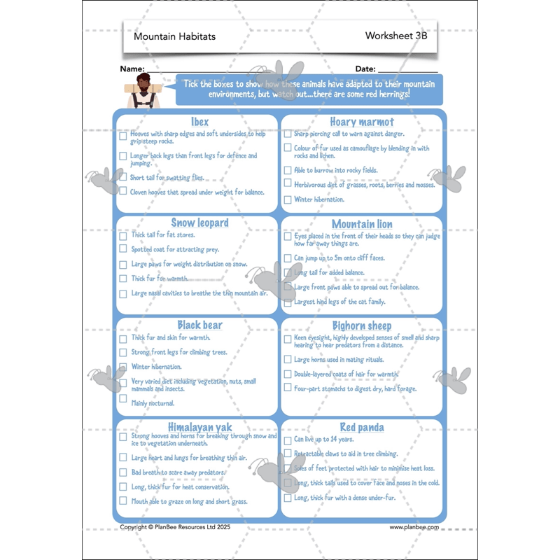 PlanBee Mountain Science KS2 | Food Chains, Adaptation & Life Cycles