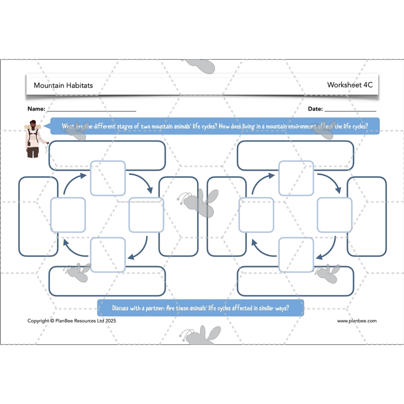 PlanBee Mountain Science KS2 | Food Chains, Adaptation & Life Cycles