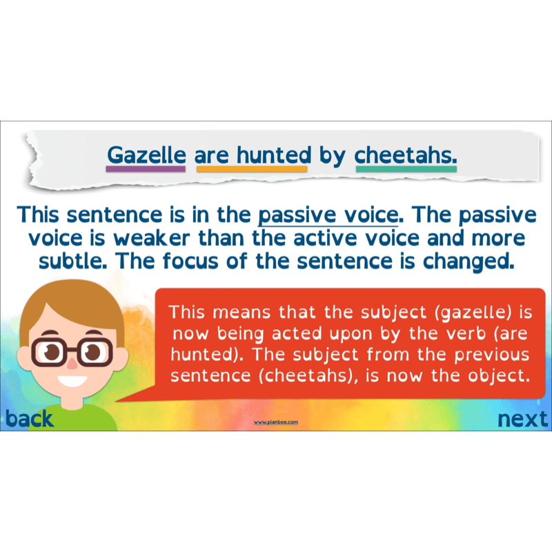 PlanBee Non-chronological Reports Year 6 English Planning