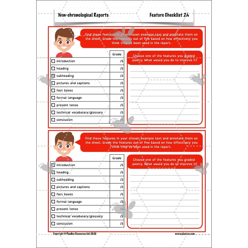 PlanBee Non-chronological Reports Year 6 English Planning