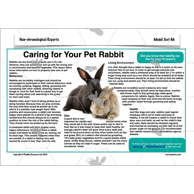 Non-chronological Reports