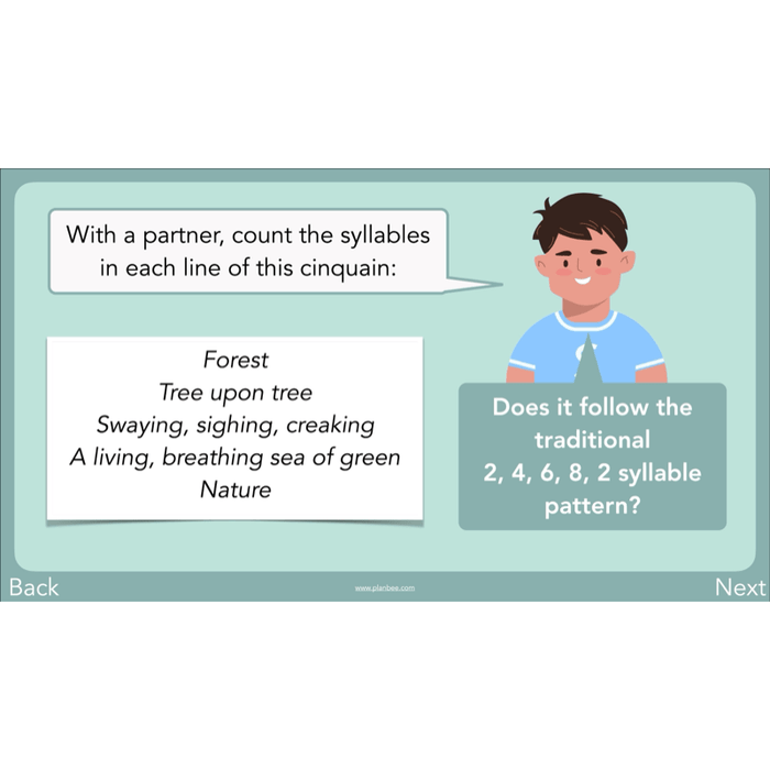 PlanBee Year 3 Patterns in Poetry | Investigating Types of Poems