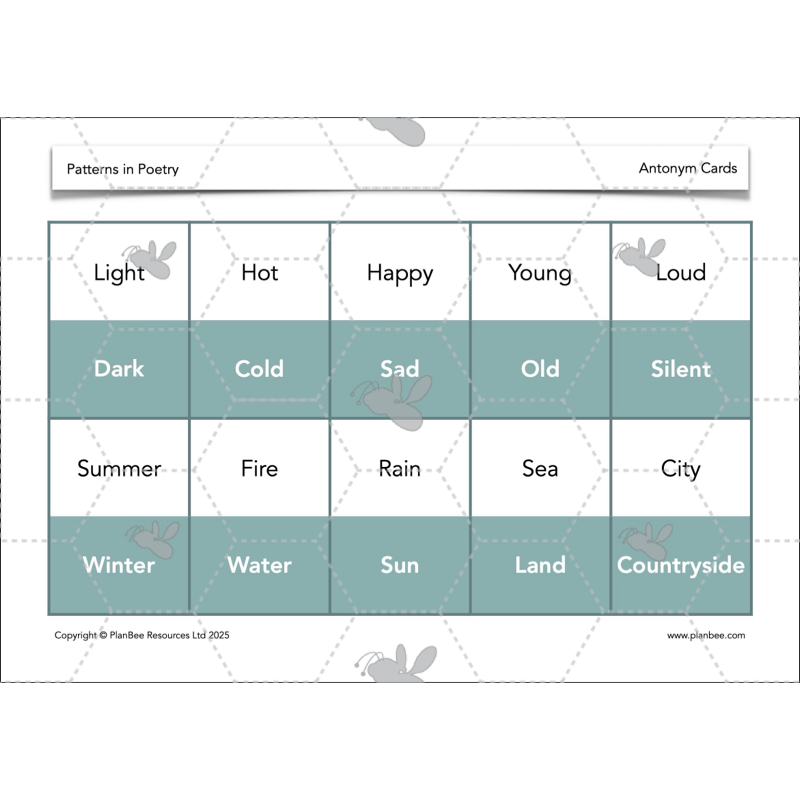 PlanBee Year 3 Patterns in Poetry | Investigating Types of Poems
