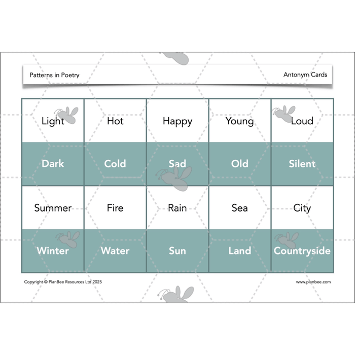 PlanBee Year 3 Patterns in Poetry | Investigating Types of Poems