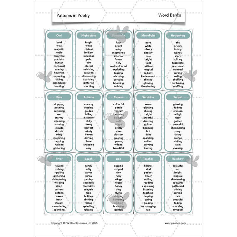 PlanBee Year 3 Patterns in Poetry | Investigating Types of Poems