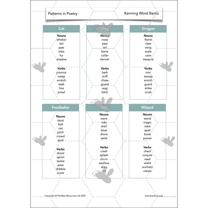 PlanBee Year 3 Patterns in Poetry | Investigating Types of Poems