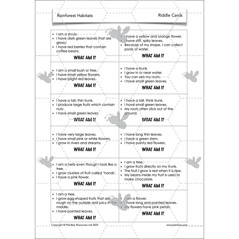 PlanBee Rainforest Habitats KS2 Science Lesson Pack