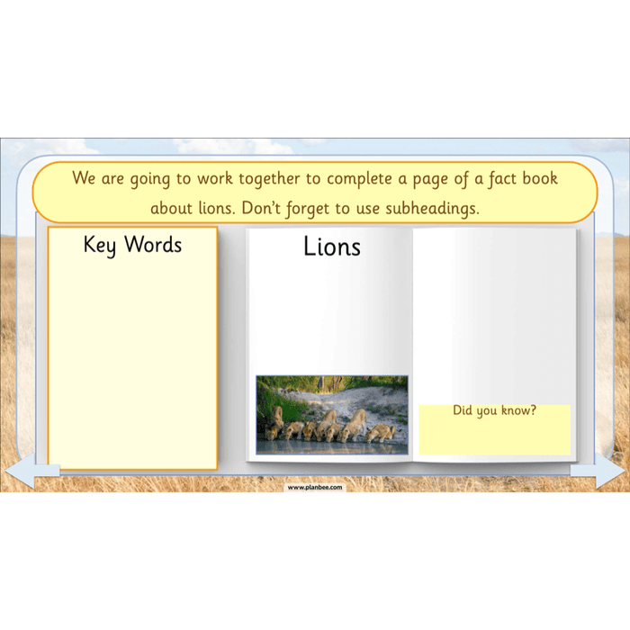 PlanBee Safari Adventures KS1 | English Lesson Pack