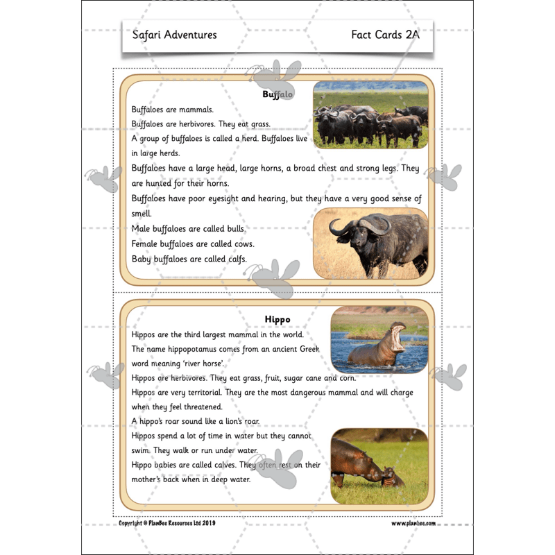 PlanBee Safari Adventures KS1 | English Lesson Pack
