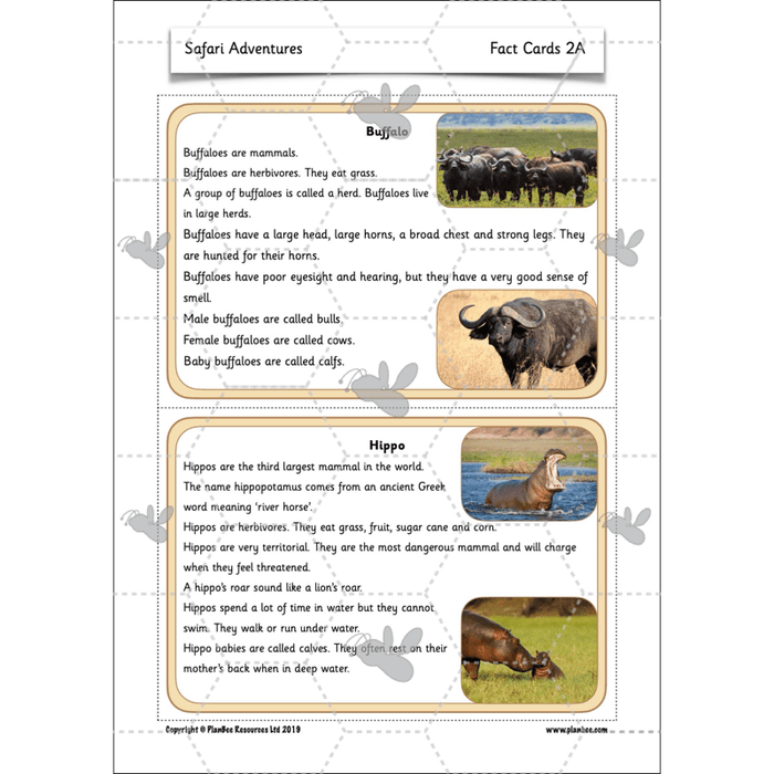 PlanBee Safari Adventures KS1 | English Lesson Pack