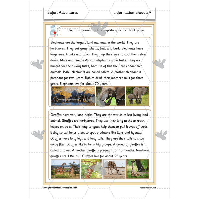 PlanBee Safari Adventures KS1 | English Lesson Pack
