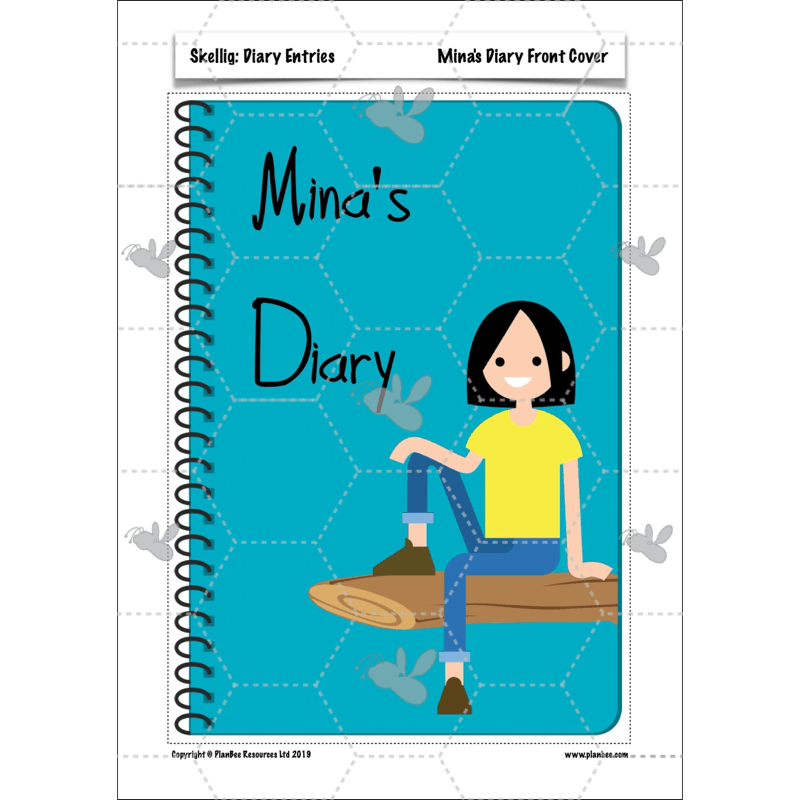 PlanBee Skellig Diary Entries KS2 | Year 6 English Lesson Pack