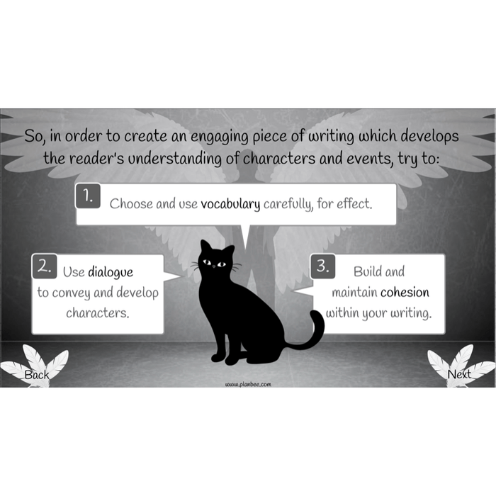 PlanBee Skellig: Narrative